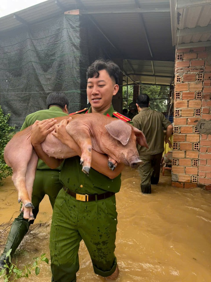 Xả lũ Thủy điện Đồng Nai 5 gây ngập lụt , xã Đắc Lua không nhận thông báo - Ảnh 1. Xả lũ Thủy điện Đồng Nai 5 gây ngập lụt , xã Đắc Lua không nhận thông báo - Ảnh 1.
