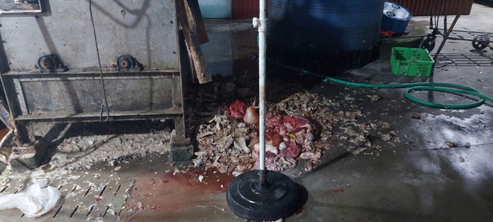 Bị khởi tố vì giết mổ lợn bệnh và bảo quản thịt nhiễm dịch tả lợn Châu Phi - Ảnh 2.