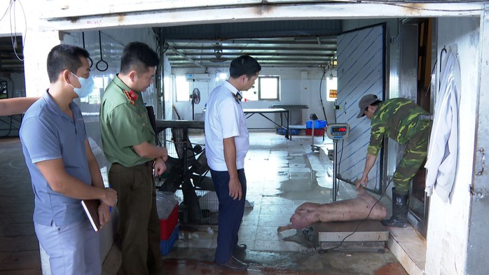 Bị khởi tố vì giết mổ lợn bệnh và bảo quản thịt nhiễm dịch tả lợn Châu Phi - Ảnh 1.