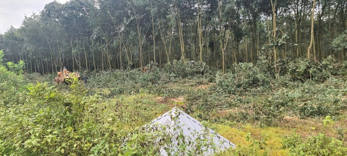 Động lực mới từ sân bay Long Thành - Ảnh 1.