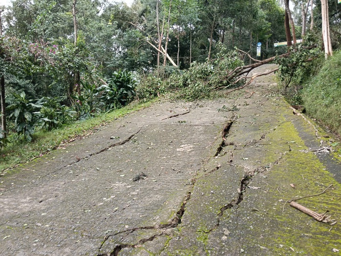 Quả đồi sát Quốc lộ 27 xuất hiện vết nứt lớn , di dời khẩn cấp người dân - Ảnh 2.