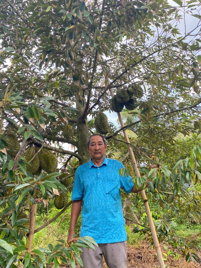 Loại sầu riêng bán 700.000 đồng/kg nhưng vẫn "cháy hàng" - Ảnh 1.