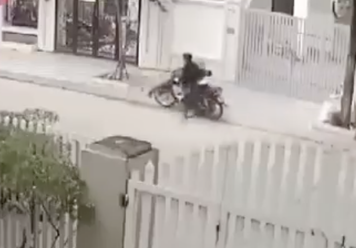 - Ảnh 1. - Ảnh 1.