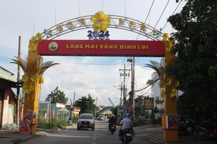 Làng mai vàng Bình Lợi nơi giữ hồn Tết Việt - Ảnh 7.