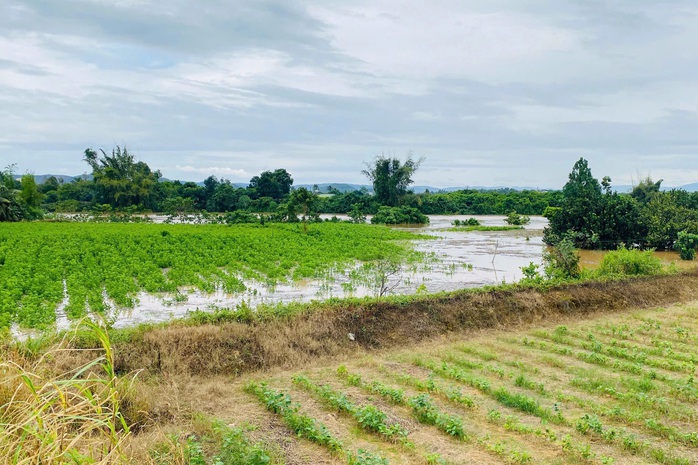 Xả lũ Thủy điện Đồng Nai 5 gây ngập lụt , xã Đắc Lua không nhận thông báo - Ảnh 3. Xả lũ Thủy điện Đồng Nai 5 gây ngập lụt , xã Đắc Lua không nhận thông báo - Ảnh 3.