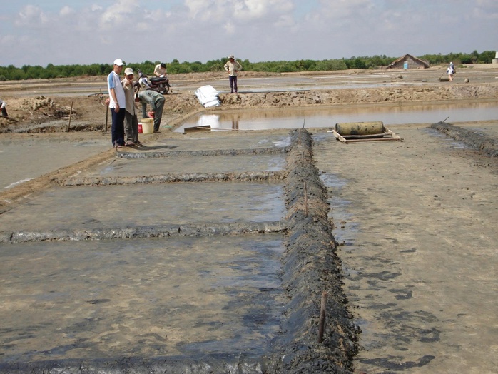 Hạt muối Lý Nhơn “vượt sóng” - Ảnh 1.