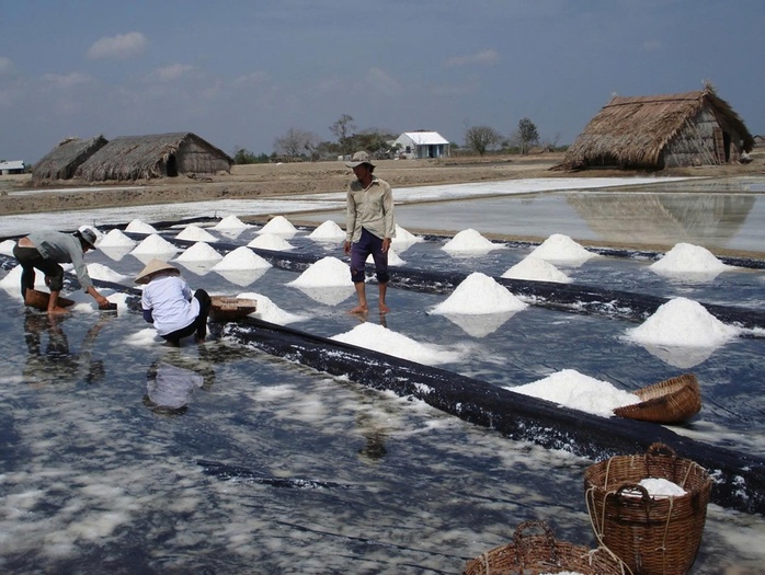 Hạt muối Lý Nhơn “vượt sóng” - Ảnh 2.