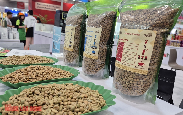 Giá cà phê hôm nay 28-11: Tăng trở lại, Malaysia mê cà phê Việt - Ảnh 1.