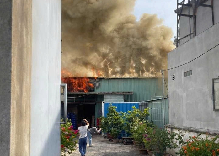 - Ảnh 1. - Ảnh 1.