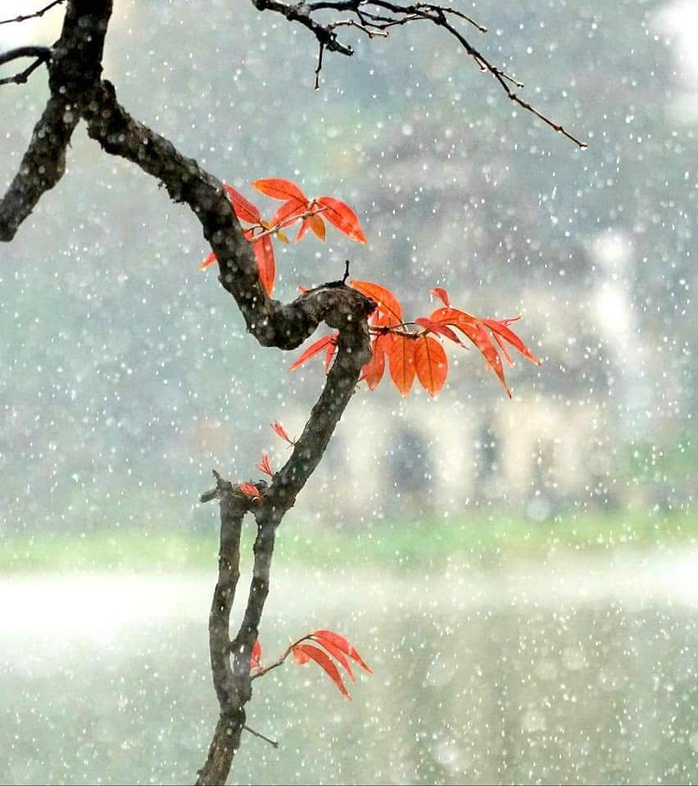 Nơi thời gian chạm nhẹ lụa sương - Ảnh 5.