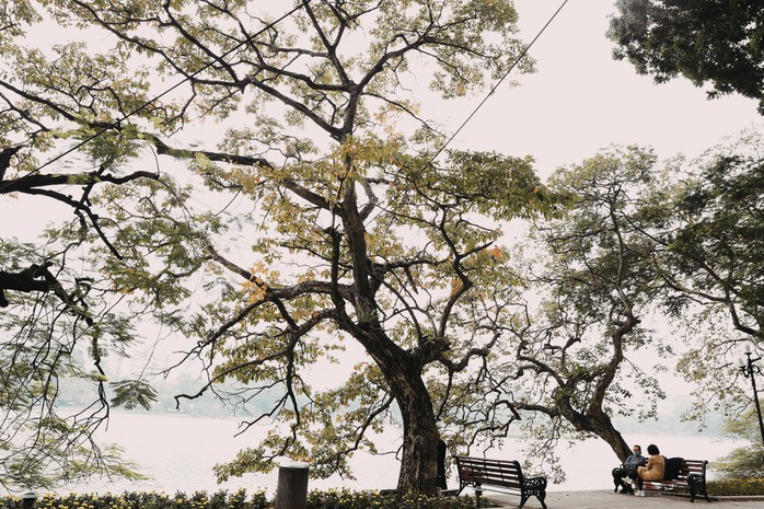 Nơi thời gian chạm nhẹ lụa sương - Ảnh 2.