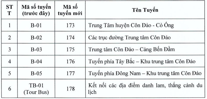 Côn Đảo sắp có tuyến xe buýt điện đầu tiên - Ảnh 2.
