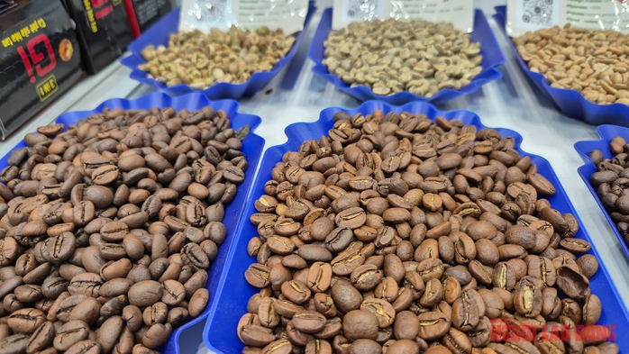Giá cà phê hôm nay 30 - 11: Xu hướng bất ngờ trên thị trường cà phê - Ảnh 1.