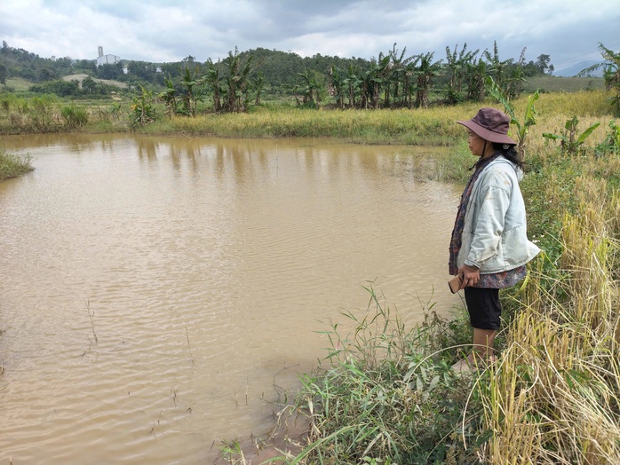 Thủy điện tích nước làm ngập đất sản xuất nhưng "không thiện chí" đền bù cho dân   - Ảnh 2.