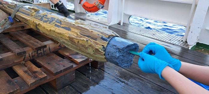 Phát hiện sự sống kỳ lạ ở "tử địa" của Trái Đất - Ảnh 1.