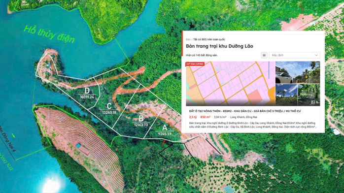 Rục rịch đầu tư khu dưỡng lão: Xu hướng bất động sản mới nổi tại Việt Nam - Ảnh 1. Rục rịch đầu tư khu dưỡng lão: Xu hướng bất động sản mới nổi tại Việt Nam - Ảnh 1.