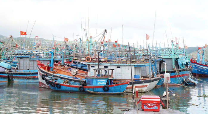 Bão số 13 - cơn bão "hết sức bất thường" - Ảnh 1.