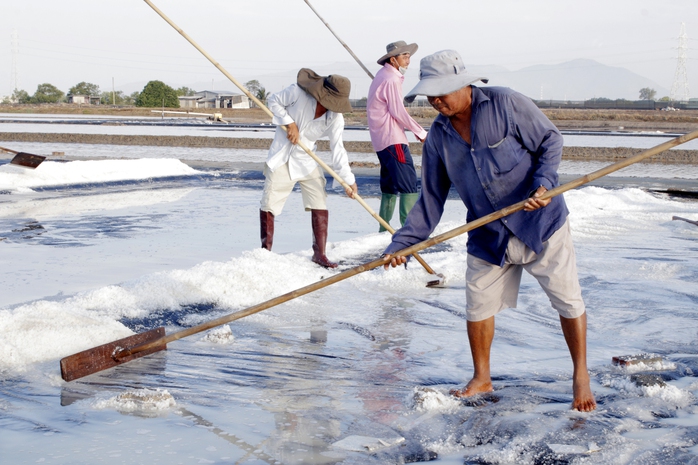 Cuộc thi viết về nghề và làng nghề truyền thống TP HCM năm 2025: Trăm năm nghề muối - Ảnh 2.