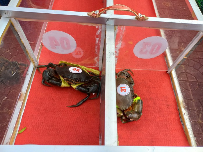 Nhiều trò chơi dân gian hấp dẫn tại Ngày hội cua Cà Mau - Ảnh 3.