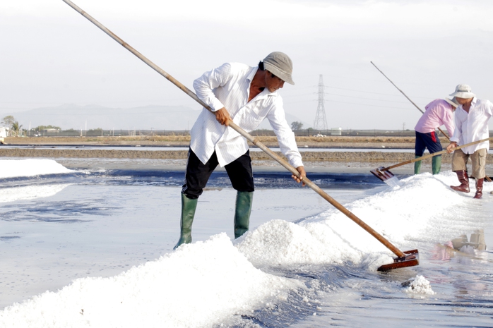 Cuộc thi viết về nghề và làng nghề truyền thống TP HCM năm 2025: Trăm năm nghề muối - Ảnh 3.