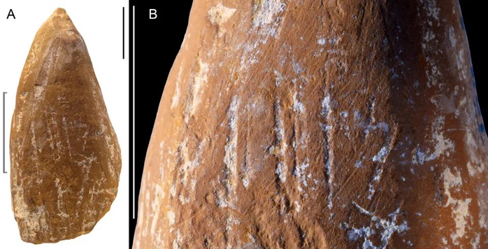 Phát hiện sốc ở Crimea về loài người đã tuyệt chủng Neanderthal - Ảnh 1.