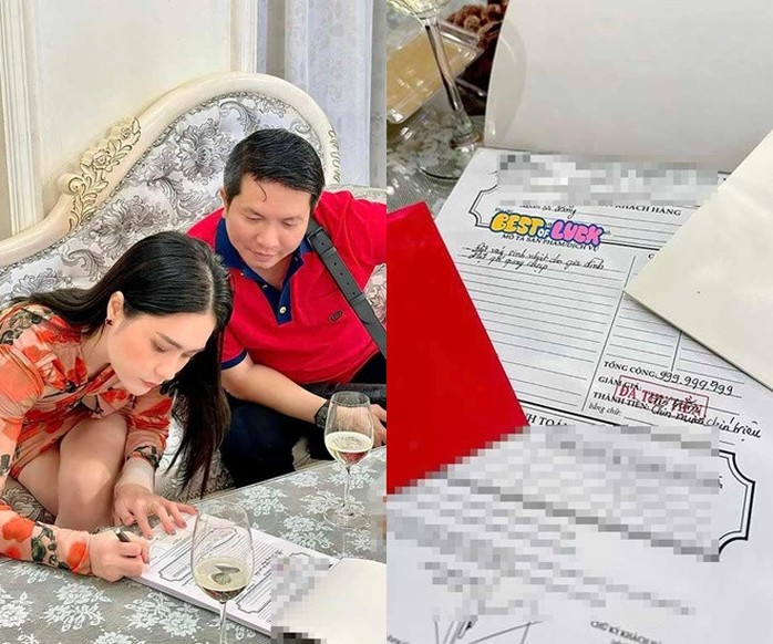 Sự giàu có của vợ chồng Đoàn Di Băng - Ảnh 1.