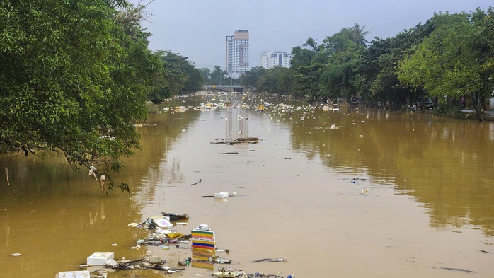 - Ảnh 7. - Ảnh 7.