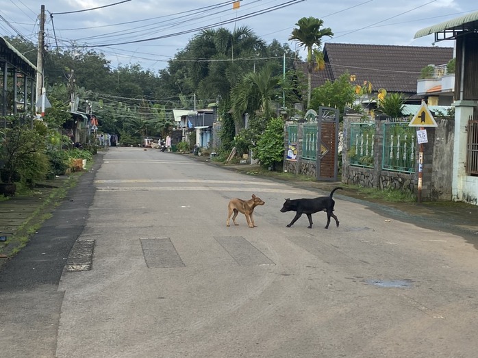 Nam thanh niên tử vong sau hơn 20 ngày bị chó cắn - Ảnh 1.