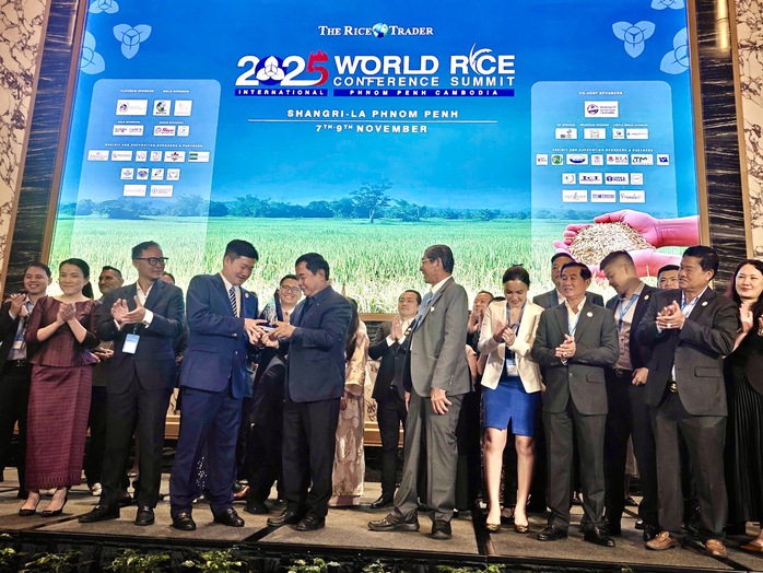 Tin vui: Gạo ST 25 lần thứ 3 thắng giải "gạo ngon nhất thế giới" - Ảnh 1.