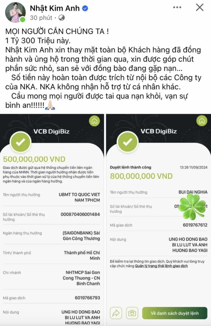 Facebook tick xanh Nhật Kim Anh đáp trả cộng đồng mạng - Ảnh 4.
