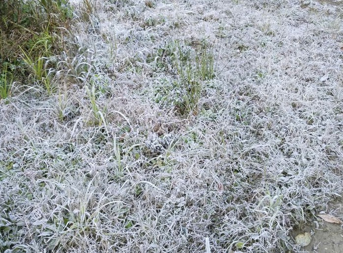 Băng giá phủ trắng đỉnh núi khi nền nhiệt giảm dưới 0°C - Ảnh 1.