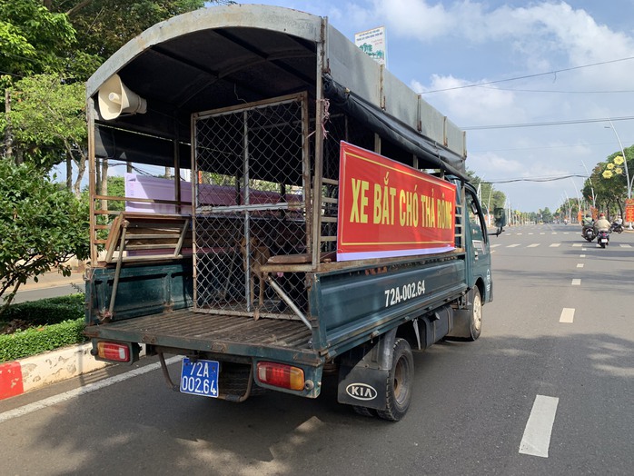 Siết chặt quản lý chó thả rong - Ảnh 2.