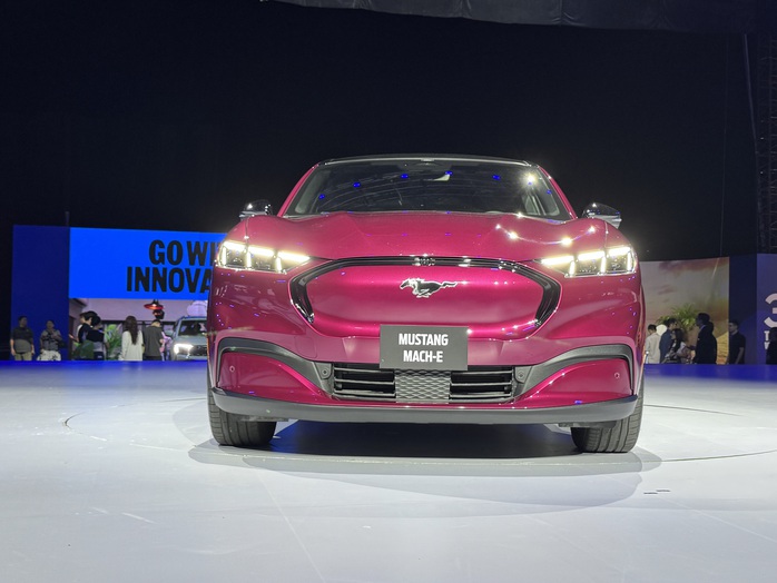 - Ảnh 1. - Ảnh 1.