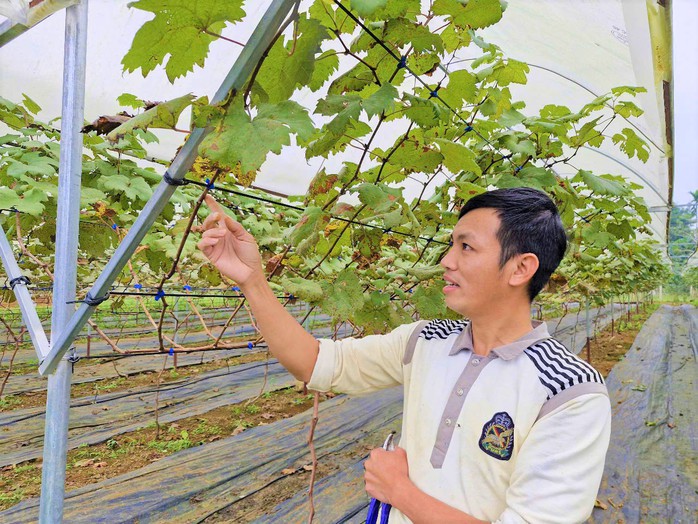 Mang ba lô rời quê nghèo, nhiều lao động mang tri thức trở về mở lối tương lai - Ảnh 1.