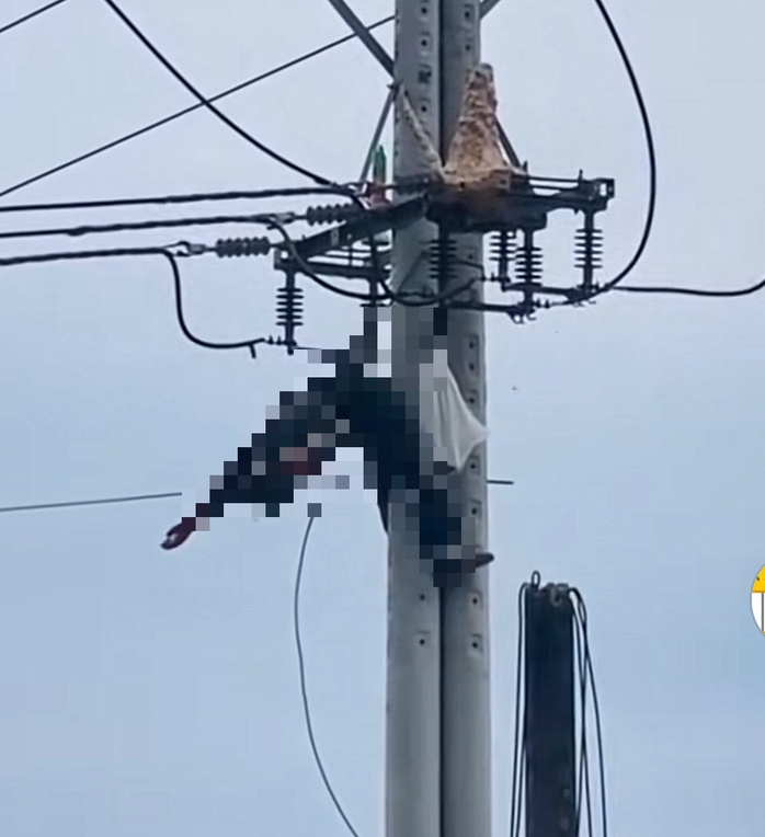 Cần Thơ: Liều lĩnh trèo lên trụ điện bắt ong, bị điện giật tử vong. - Ảnh 1.