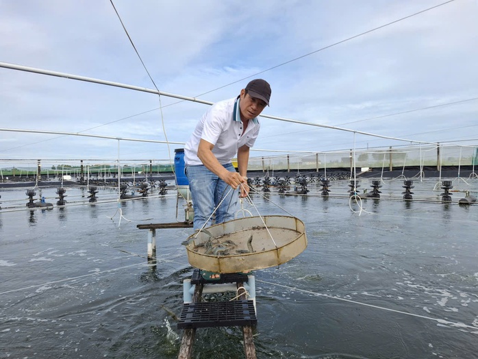 Nuôi tôm siêu thâm canh – tri thức tạo đột phá - Ảnh 1.