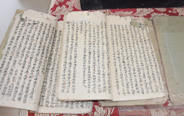 Đông y Việt Nam đứng trước yêu cầu chuẩn hóa di sản - Ảnh 3.