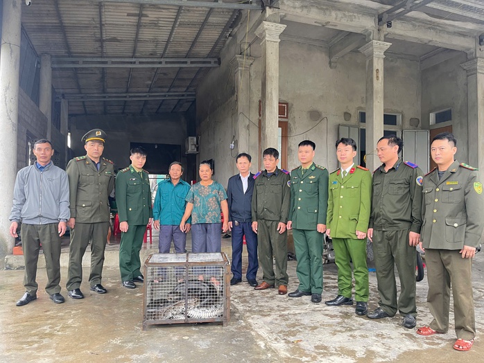 Liên tiếp phát hiện trăn đất “khủng” bò lạc vào nhà dân - Ảnh 1. Liên tiếp phát hiện trăn đất “khủng” bò lạc vào nhà dân - Ảnh 1.