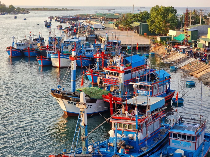 Thủ tướng chỉ đạo lập đo&agrave;n kiểm tra chống IUU, Bộ C&ocirc;ng an điều tra dứt điểm vụ l&ocirc; h&agrave;ng c&aacute; cờ kiếm - Ảnh 1.