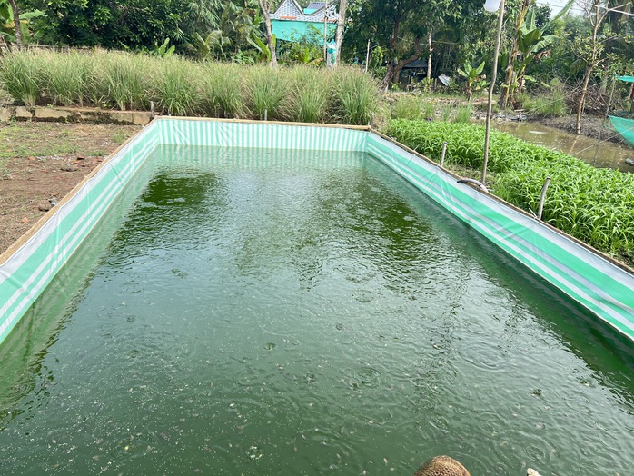 Người phụ nữ Khmer vượt khó nuôi 2 con ăn học từ mô hình kinh tế kép - Ảnh 2.