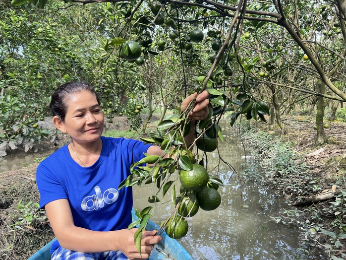 Người phụ nữ Khmer vượt khó nuôi 2 con ăn học từ mô hình kinh tế kép - Ảnh 6.