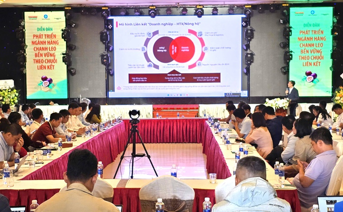 - Ảnh 2. - Ảnh 2.