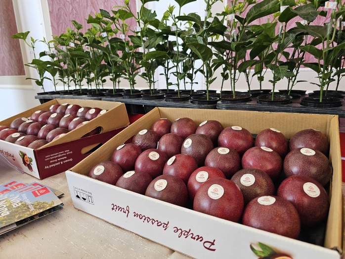 - Ảnh 1. - Ảnh 1.