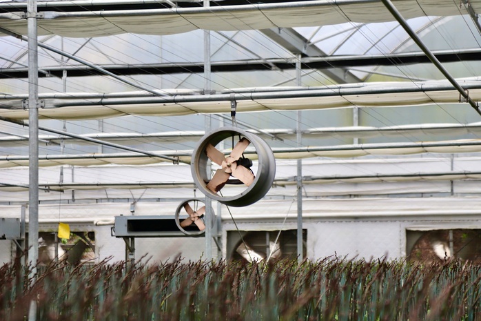 Học nghề ven biển ở Hà Tĩnh: Từ mô hình trồng lan trên vùng cát trắng tới nâng cao nghề truyền thống - Ảnh 3.