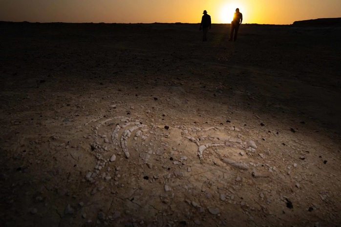 170 điểm chứa xương "nàng tiên cá" lộ ra giữa sa mạc Trung Đông - Ảnh 1.