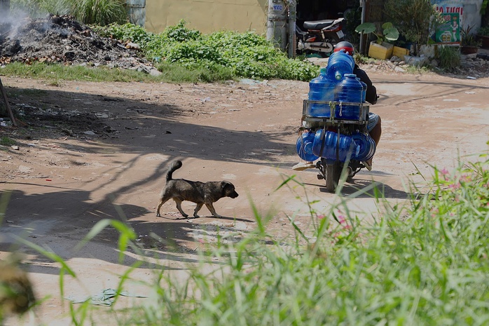 - Ảnh 3. - Ảnh 3.