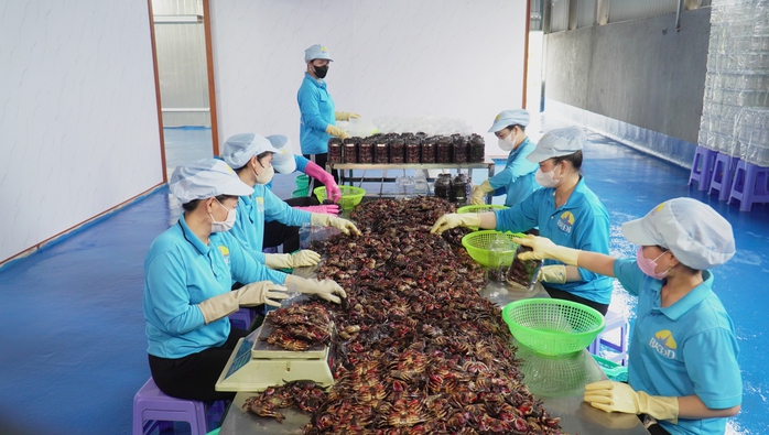 Làng nghề đặc sản kỳ vọng mùa Tết - Ảnh 1.