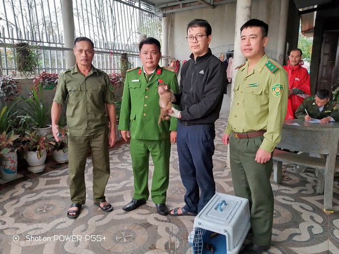 Hai cá thể khỉ qúy hiếm xuất hiện tại khu dân cư Quảng Trị - Ảnh 1. Hai cá thể khỉ qúy hiếm xuất hiện tại khu dân cư Quảng Trị - Ảnh 1.