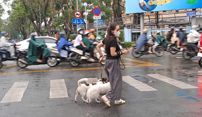 - Ảnh 6. - Ảnh 6.