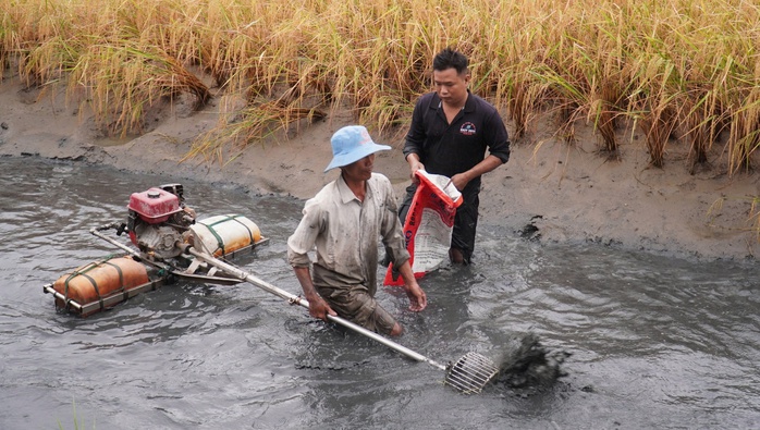 VIDEO: Nông dân miền Tây quậy bùn vần công bắt tôm càng xanh - Ảnh 2.
